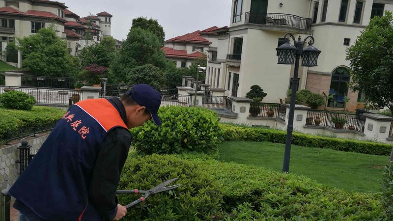 室内立体绿化墙：人工绿植与真植物的区别解析
