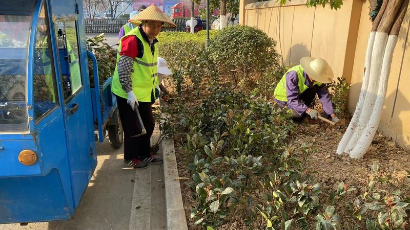 小型苗木种植加盟选址：如何把握关键要素**