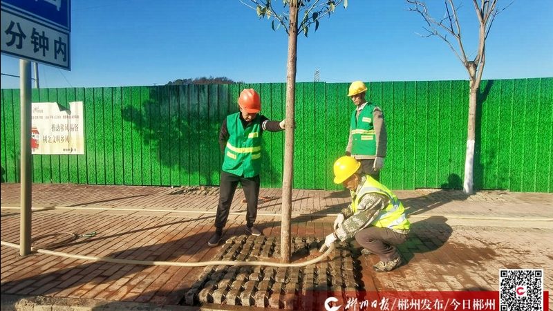栽树后浇水，这些细节不能忽视**
