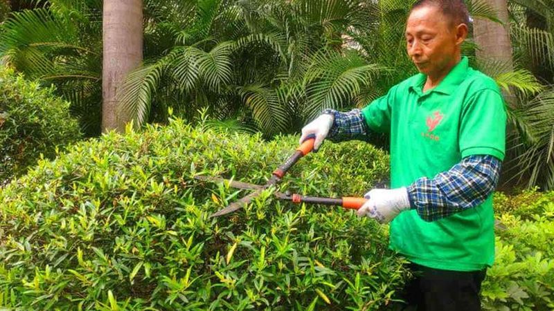 庭院设计施工队报价单：揭秘报价背后的关键要素
