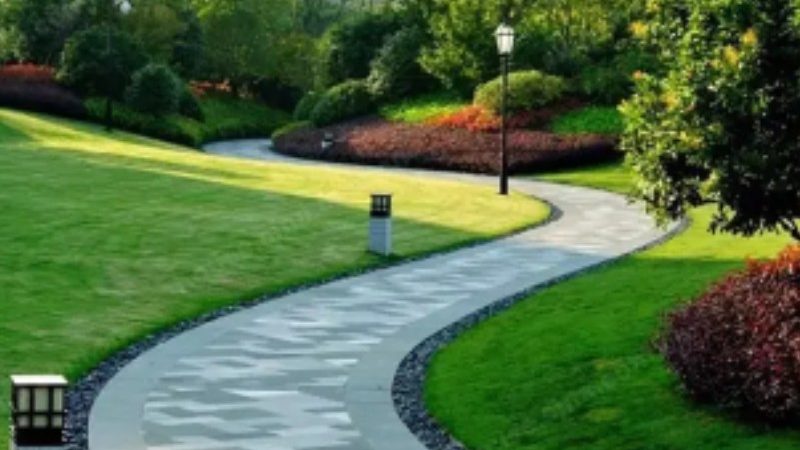 植物墙定制方案：揭秘一平米价格构成**
