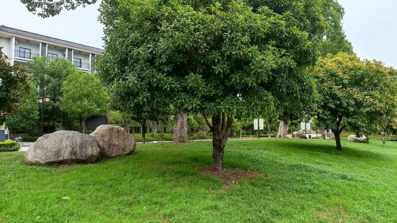 厂区绿化工程报价方案编制：流程与关键要素**