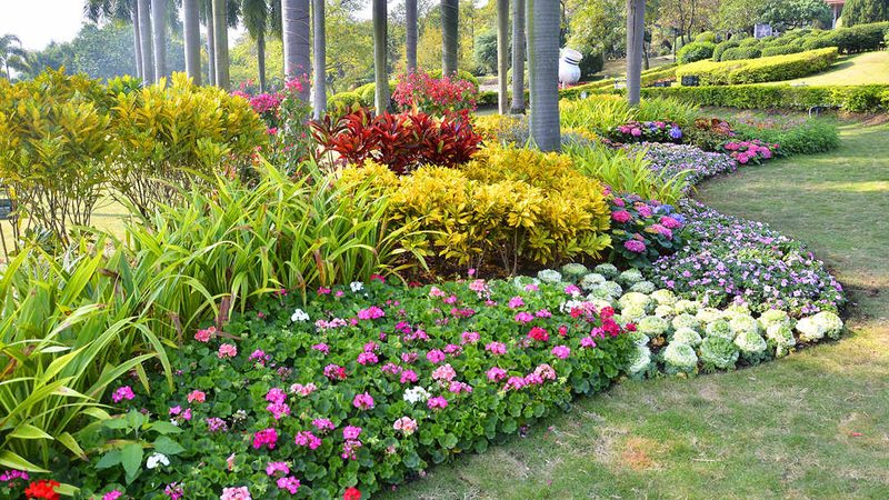 阳台变绿洲：草莓苗与多肉植物混搭种植指南